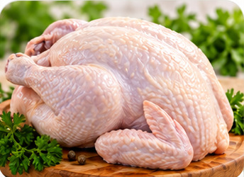 Ayam Tua
