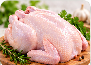 Fresh whole chicken ready for preparation